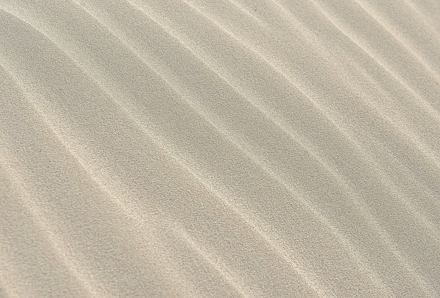 白い砂