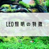 【アクアリウム】LED照明の特徴｜水草は育てられる？おすすめのライトは？