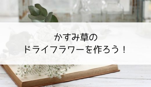 かすみ草のドライフラワーの作り方 3つの方法や着色のやり方をご紹介 Inoris イノリス