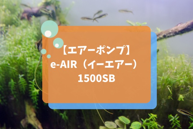 e-AIR（イーエアー）1500SBの特徴とは？