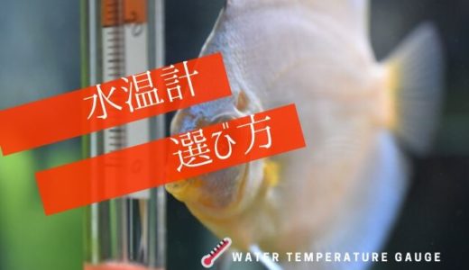 水温計の選び方とは？｜水槽の温度を管理しよう【アナログ・デジタル】