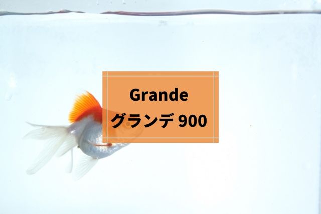 グランデ 900」は大容量のろ過槽をもった上部式フィルター【90㎝水槽用】 | INORIS（イノリス）