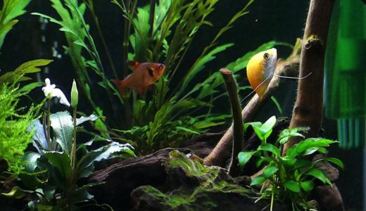 水槽台の失敗しない選び方｜初心者が迷うポイントをやさしく解説