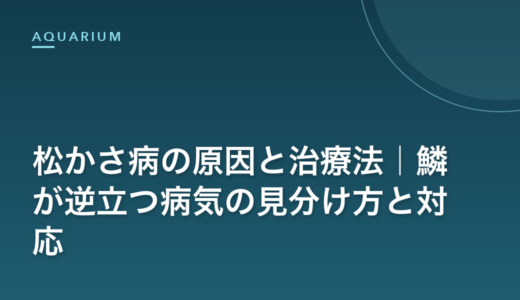 松かさ病の原因と治療法｜鱗が逆立つ病気の見分け方と対応