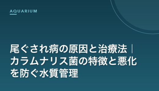 尾ぐされ病の原因と治療法｜カラムナリス菌の特徴と悪化を防ぐ水質管理