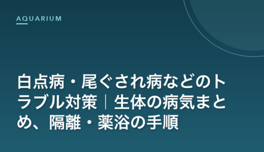 白点病・尾ぐされ病などのトラブル対策｜生体の病気まとめ、隔離・薬浴の手順