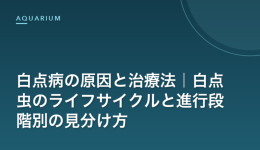 白点病の原因と治療法｜白点虫のライフサイクルと進行段階別の見分け方