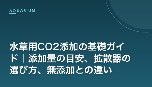 水草用CO2添加の基礎ガイド｜添加量の目安、拡散器の選び方、無添加との違い